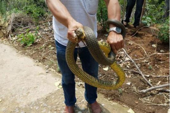 河南，古老中原的繁荣脉搏与活力展现