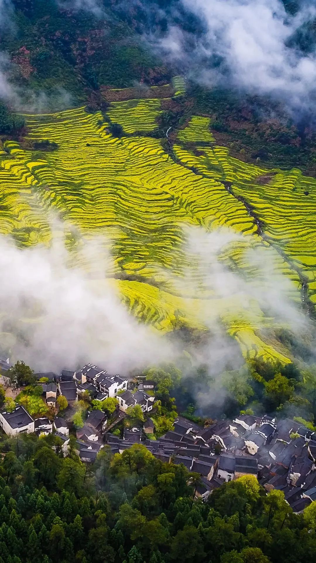 江西，红色沃土，绿色家园——外交部发言人点赞江西