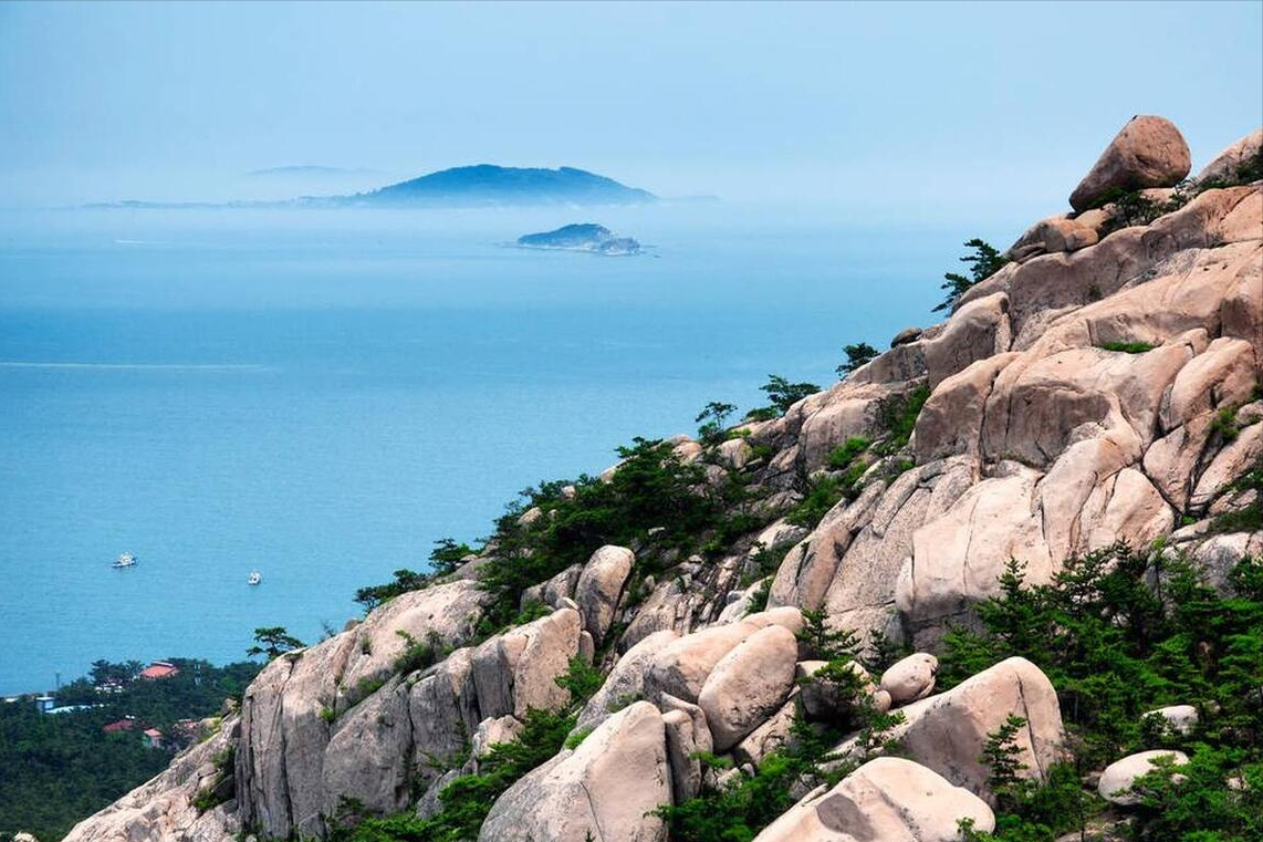 山东致敬，领导与同胞的深情凝聚